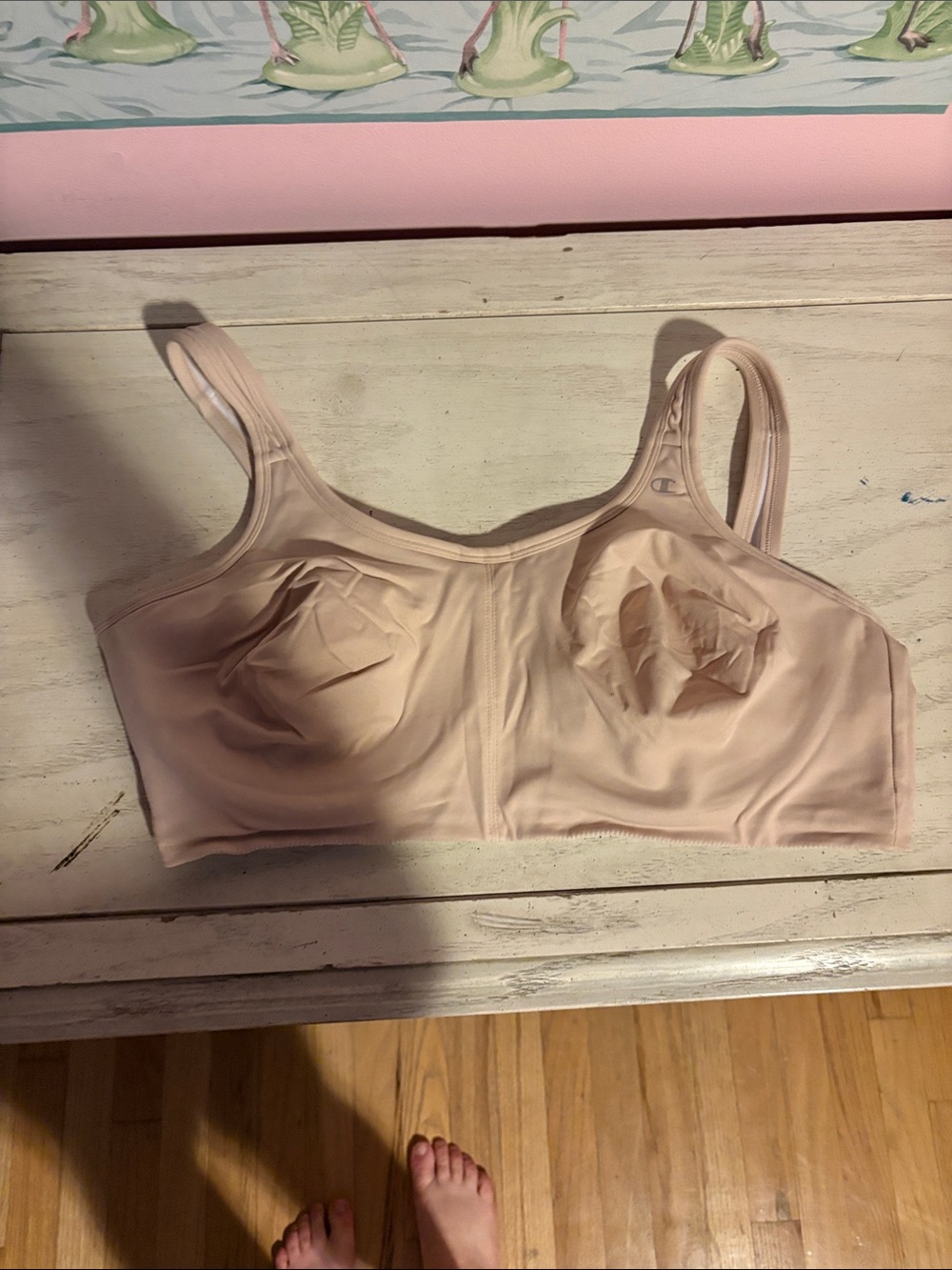 Champion Sports Bra with wires Size 38-40 D/DD